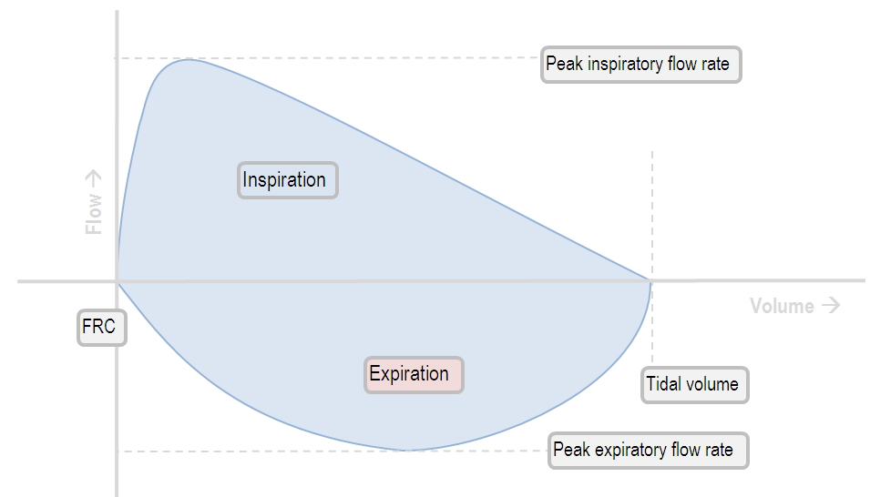 Interpreting the shape of the flowvolume loop Deranged Physiology